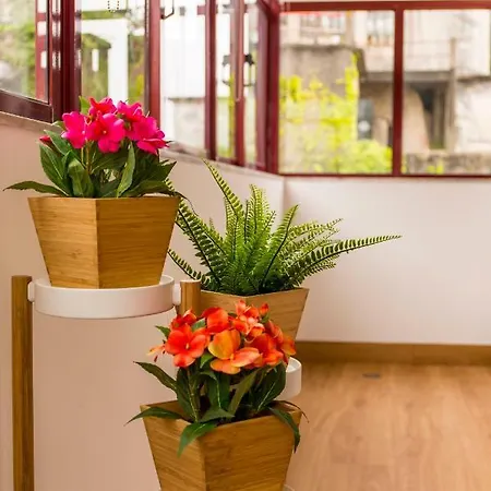 Haven - Marquês Downtown * Porto