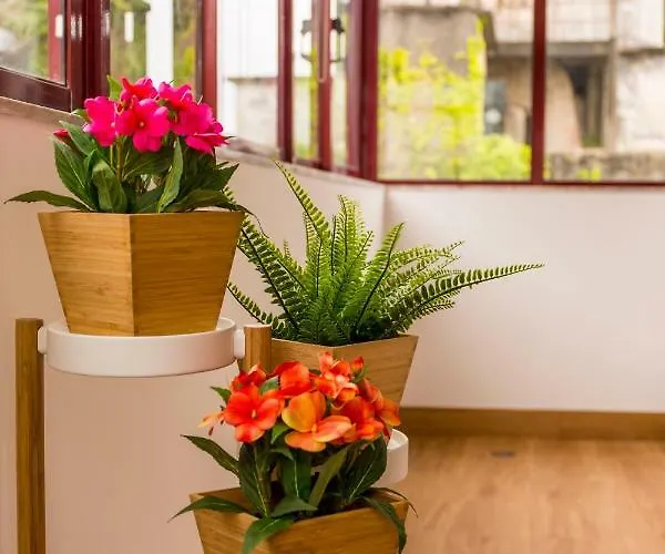 Haven - Marques Downtown * Porto